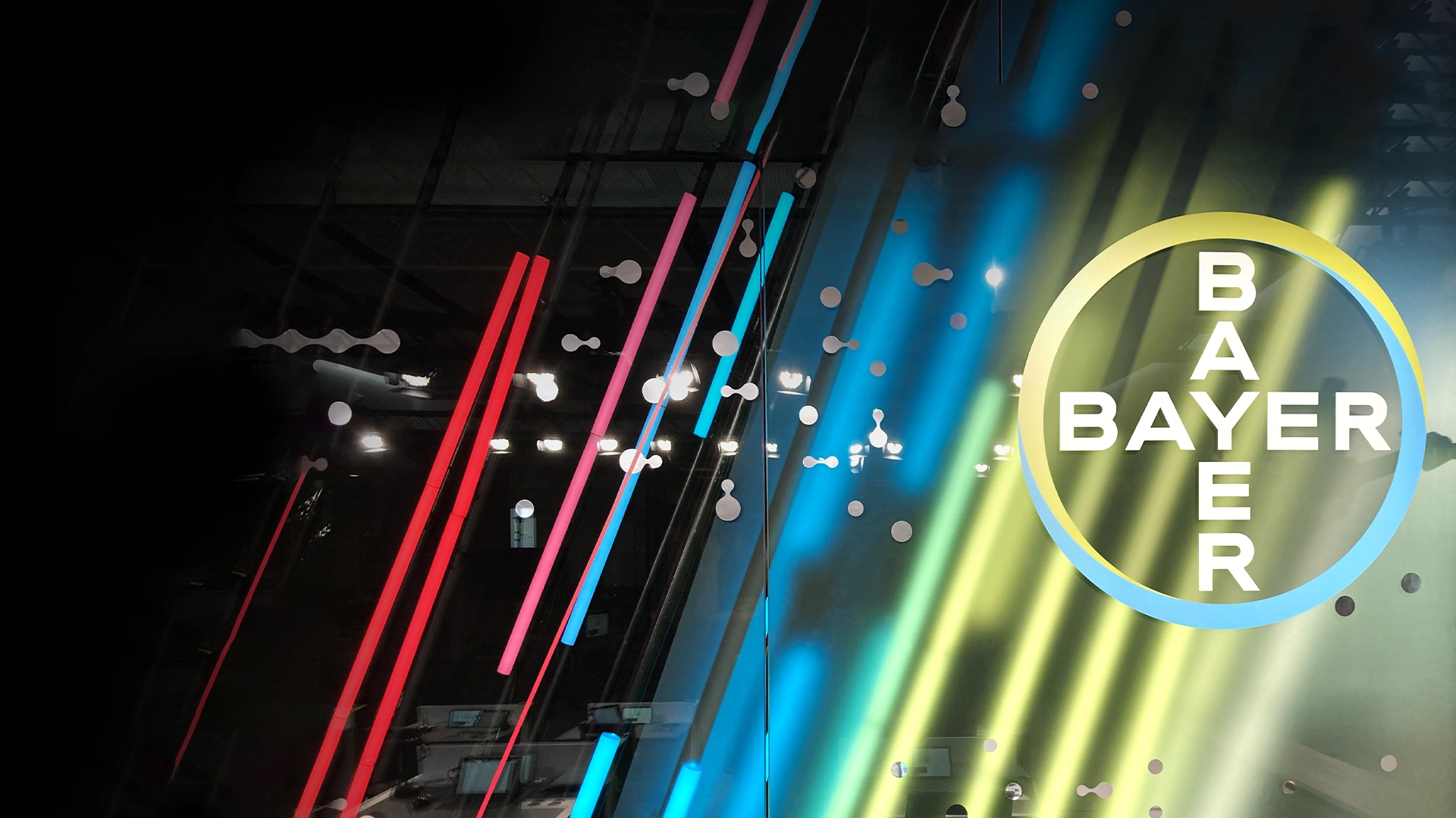 Bayer logo on a colorful background.
